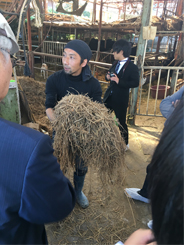 厳選した飼料